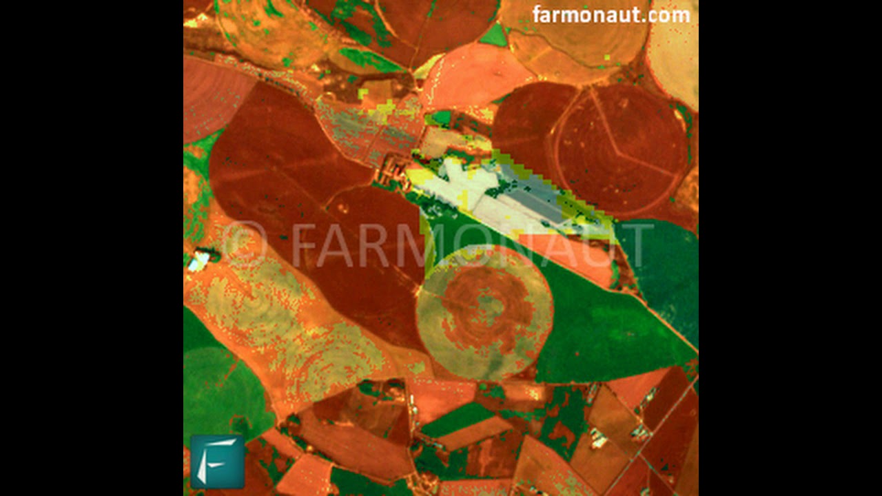 Satellite Based Crop Health Monitoring Samples | Precision Agriculture | Remote Sensing
