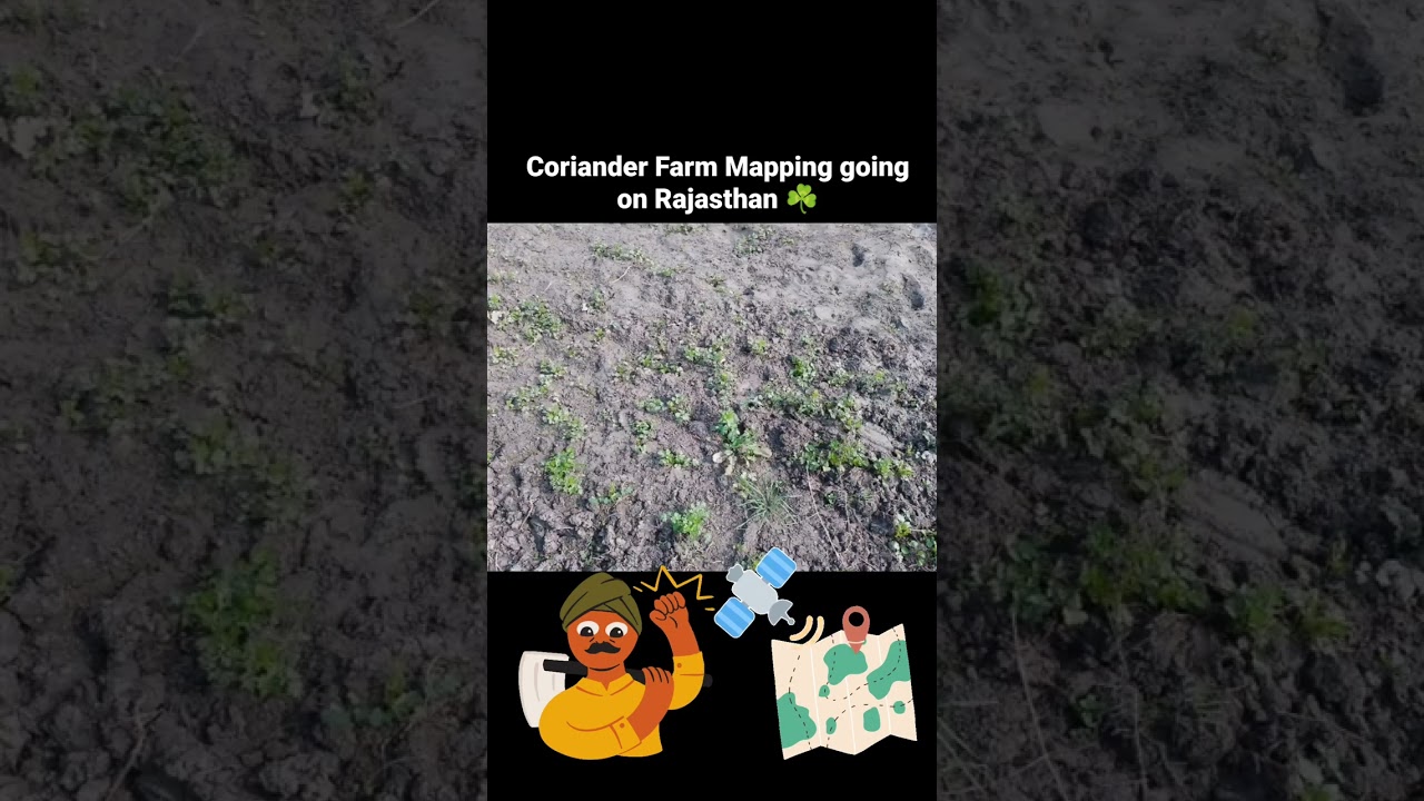 Coriander Farm Mapping Going on in Rajasthan