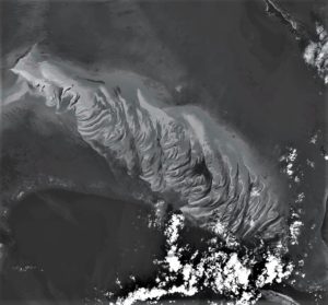 farmonaut satellite imagery