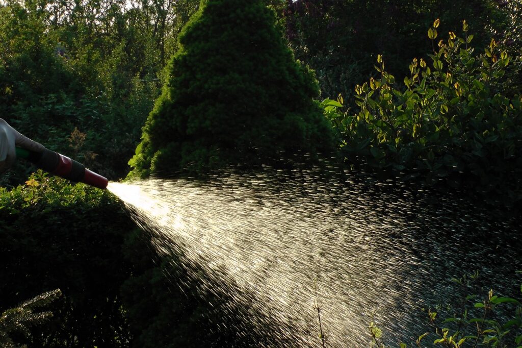 water, allotment garden, water jet-507386.jpg