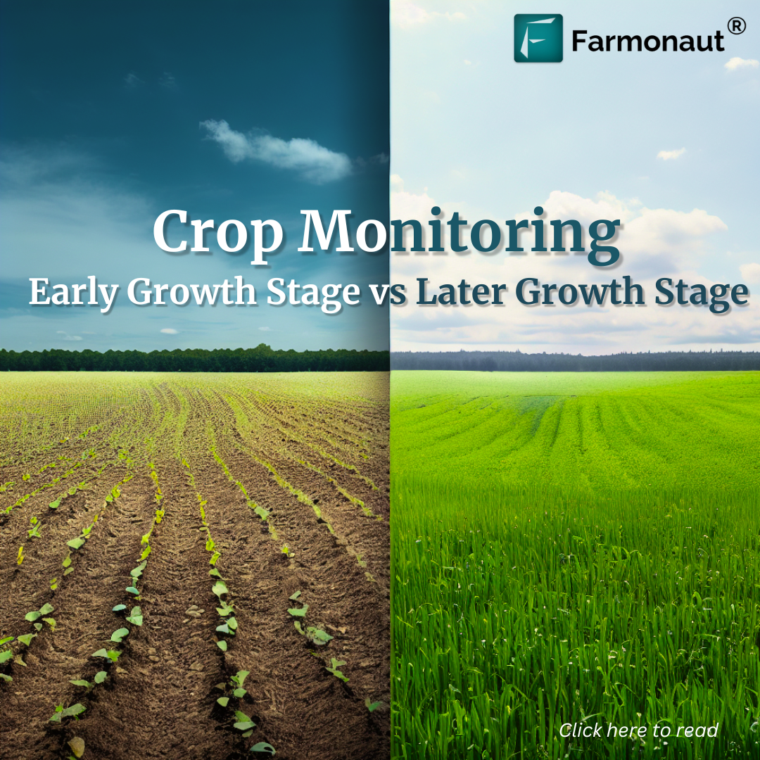 Crop Monitoring: Key Differences in Early vs Later Growth Stages 2 Early vs Later