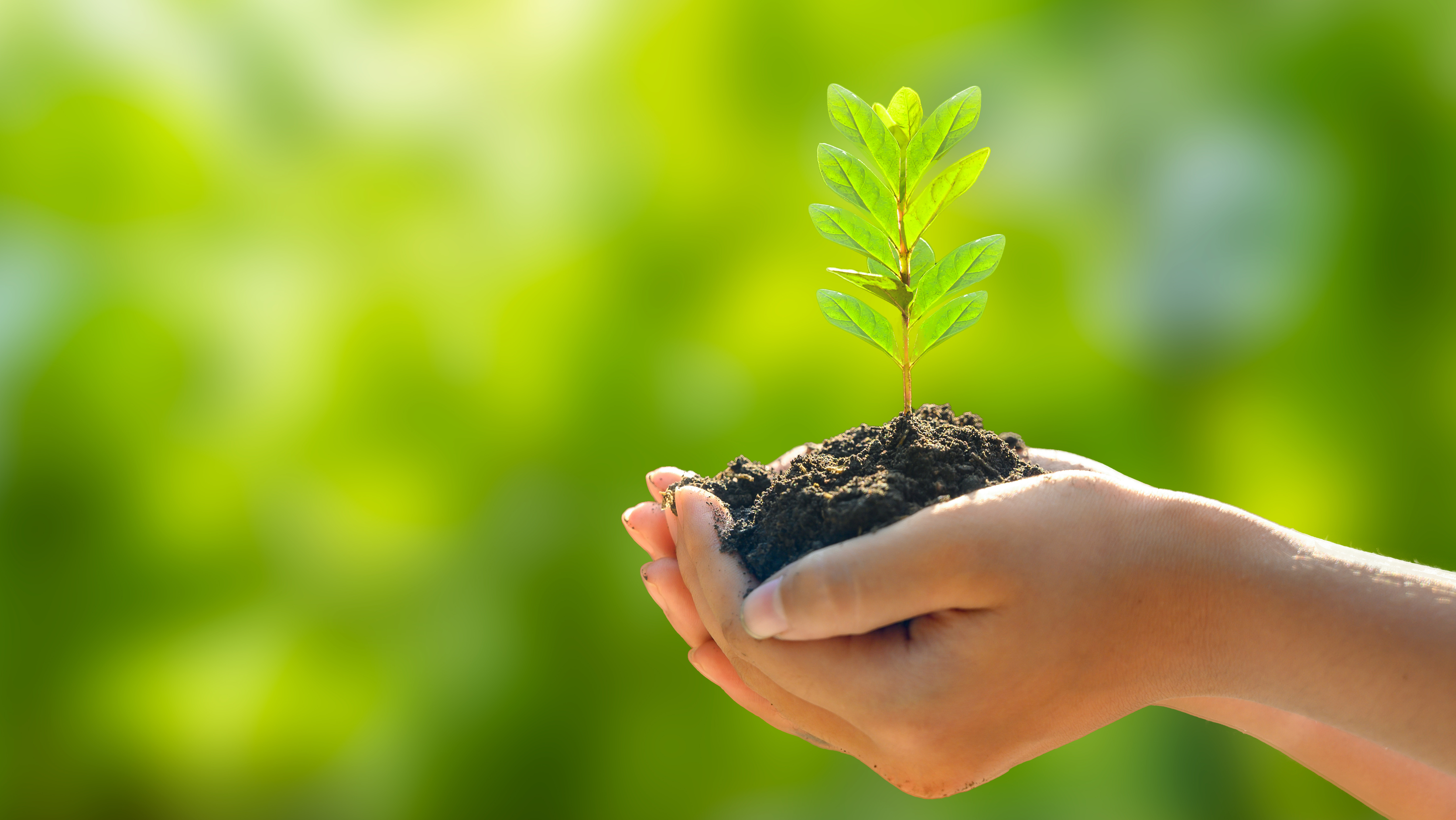 Revolutionizing Edible Gardening with Farmonaut Technologies 4