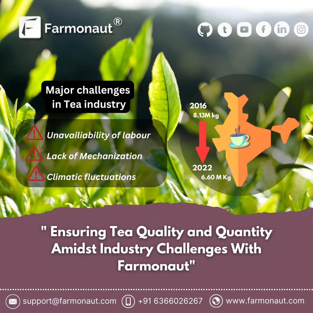 Tea Industry Challenges and Farmonaut Solutions