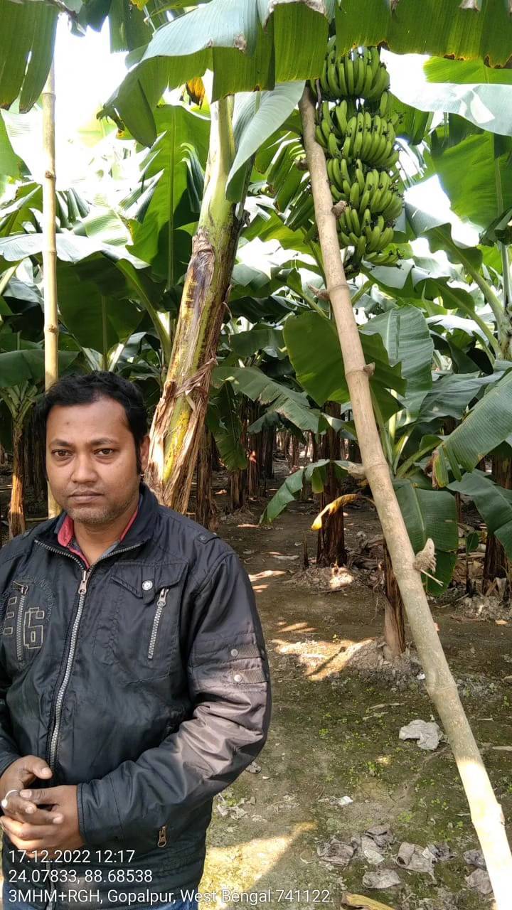 Banana farm mapping in West Bengal