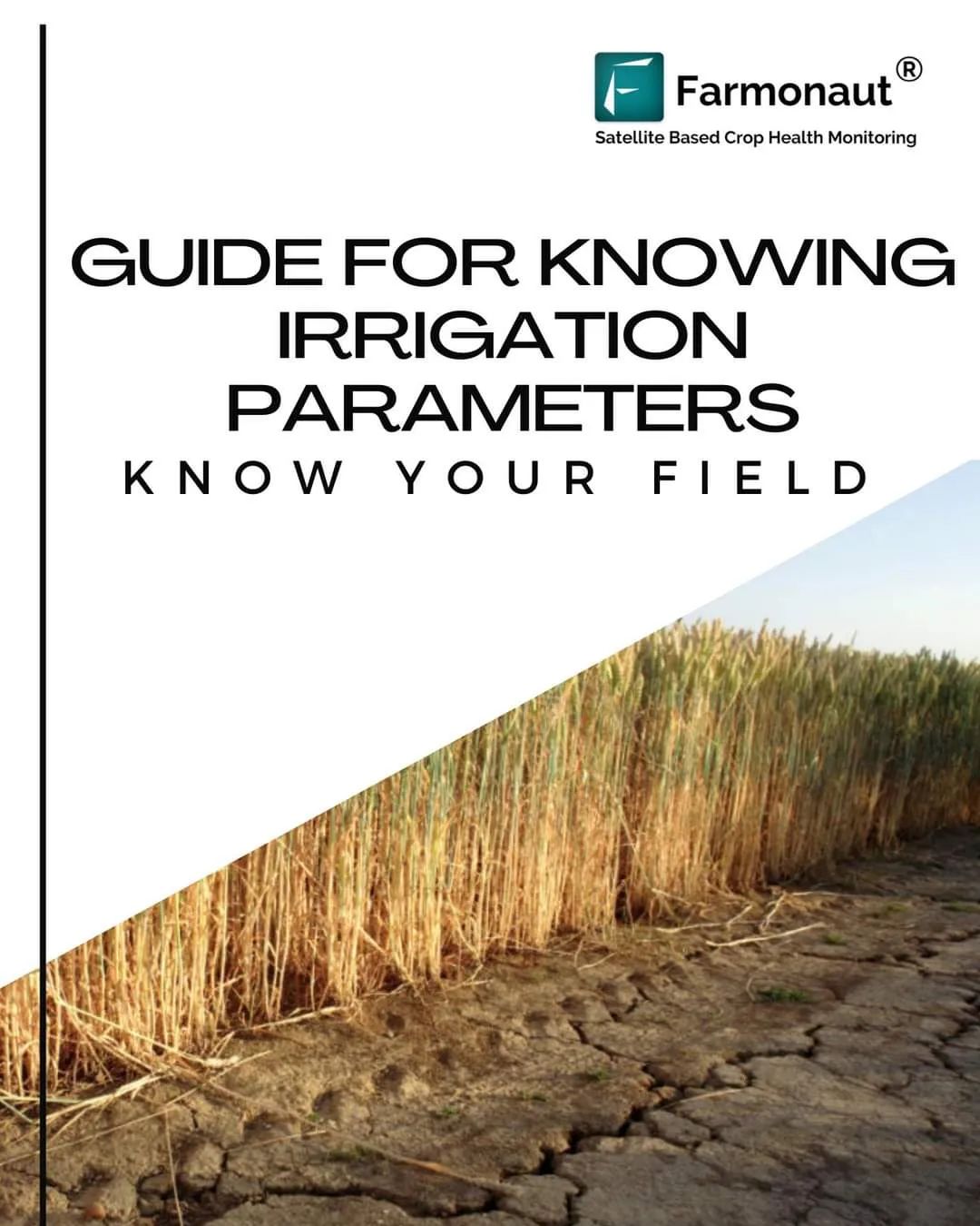 Farmonaut Guide for Knowing Irrigation Parameters