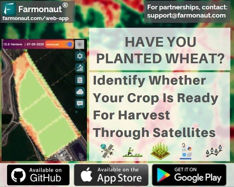 Farmonaut Wheat Harvest Readiness Detection