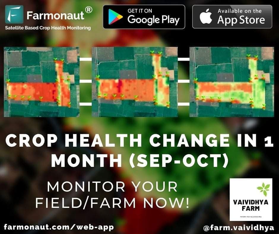 Farmonaut Crop Health Monitoring