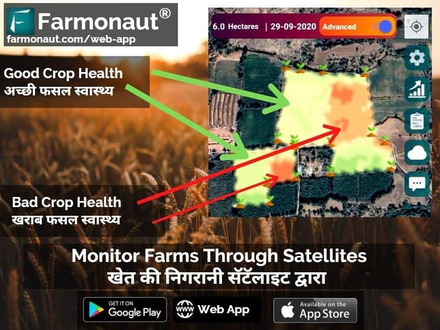 Satellite-based crop health monitoring