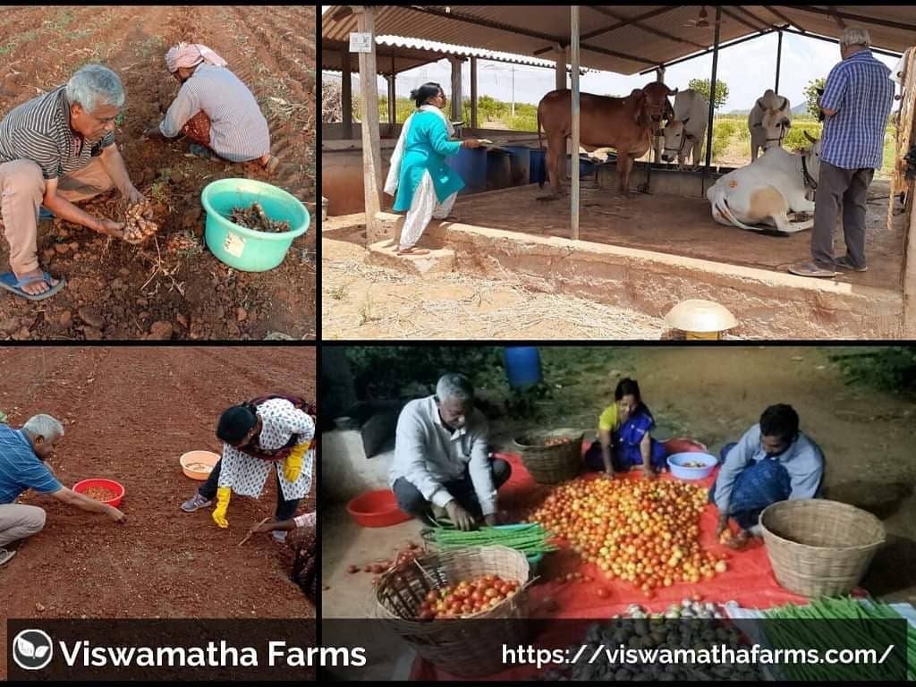 Viswamatha Farms