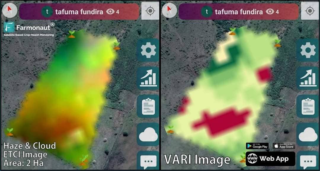 Satellite imagery of Tafuma Fundira's farm in Zimbabwe