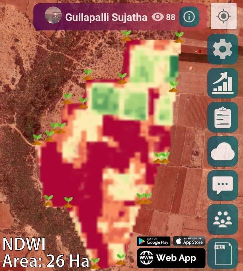 NDWI satellite image of Gullapalli Sujatha's farm