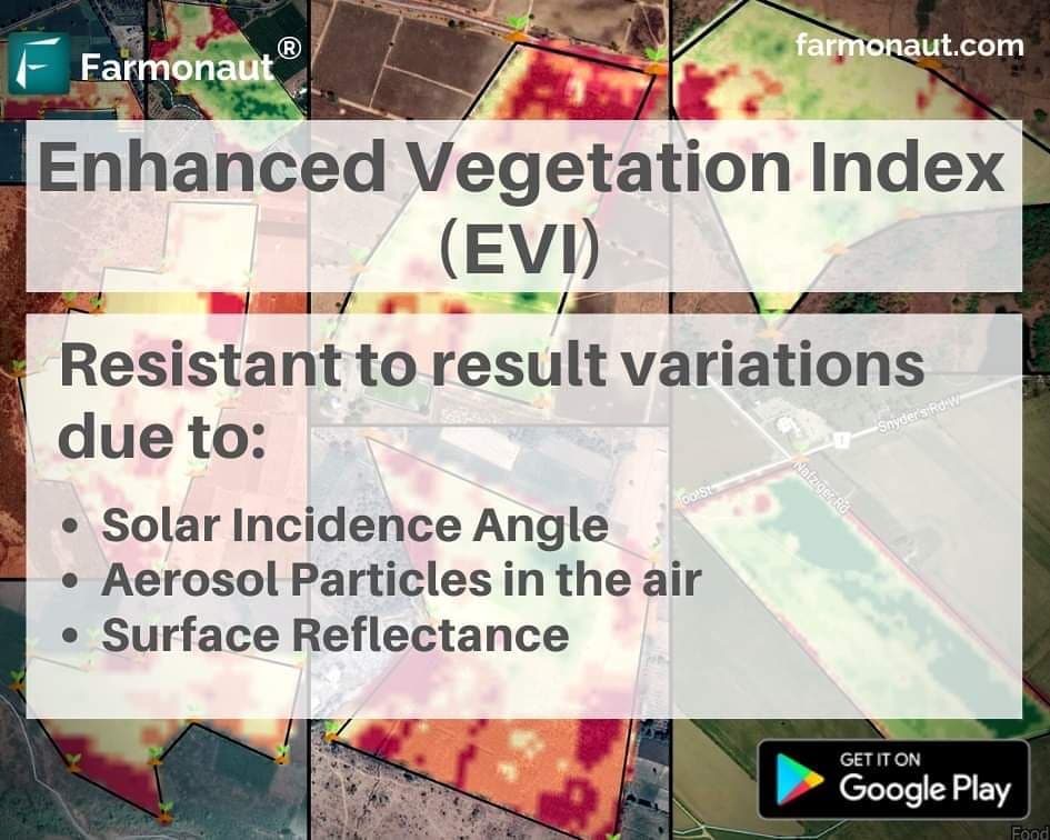 Enhanced Vegetation Index (EVI) Infographic