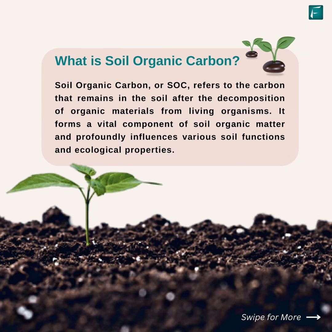 What is Soil Organic Carbon?