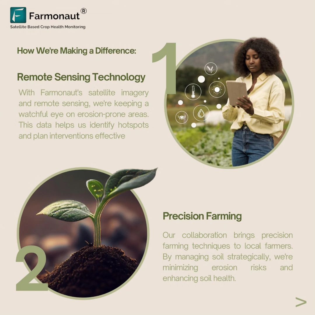 Remote Sensing Technology and Precision Farming