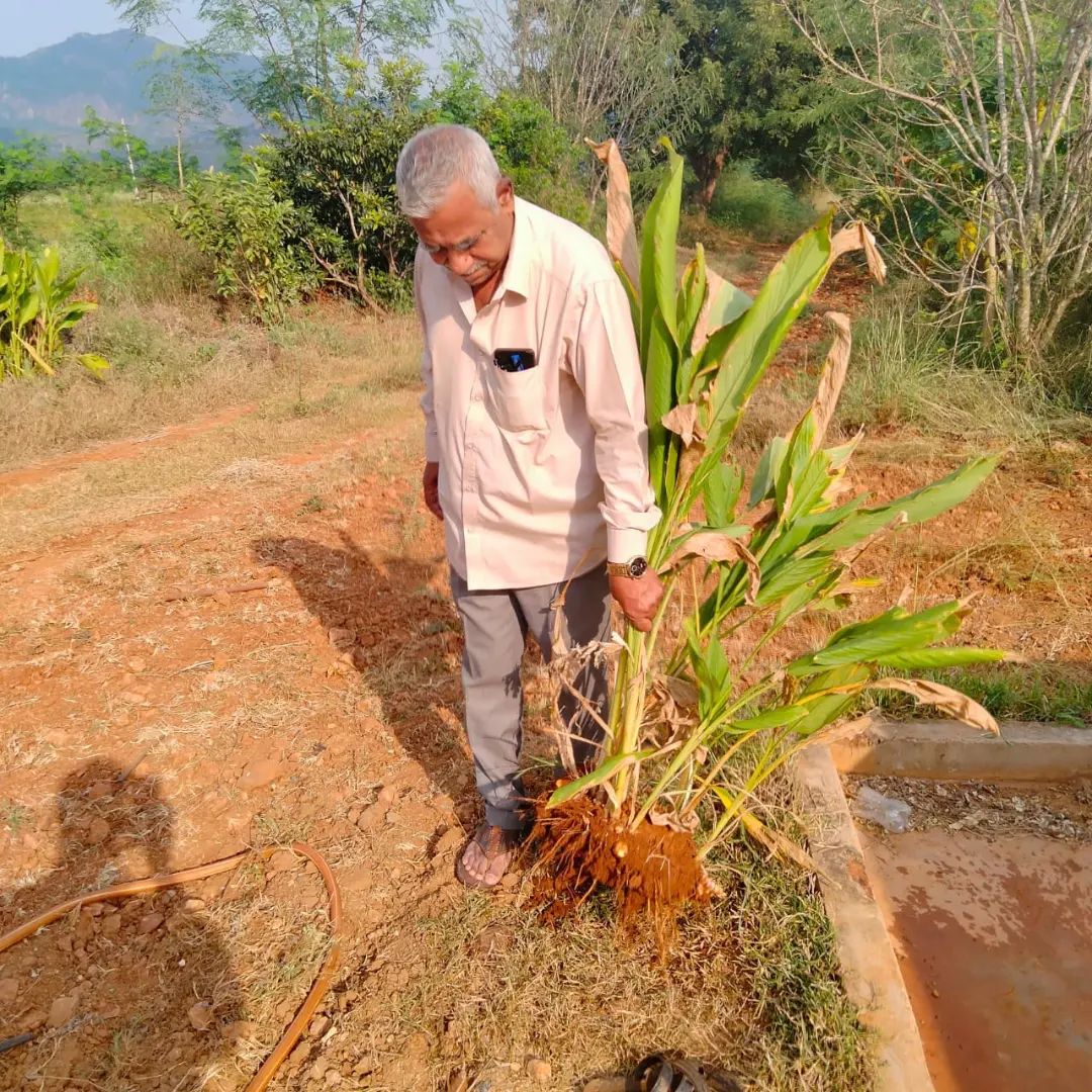 Future of Natural Farming