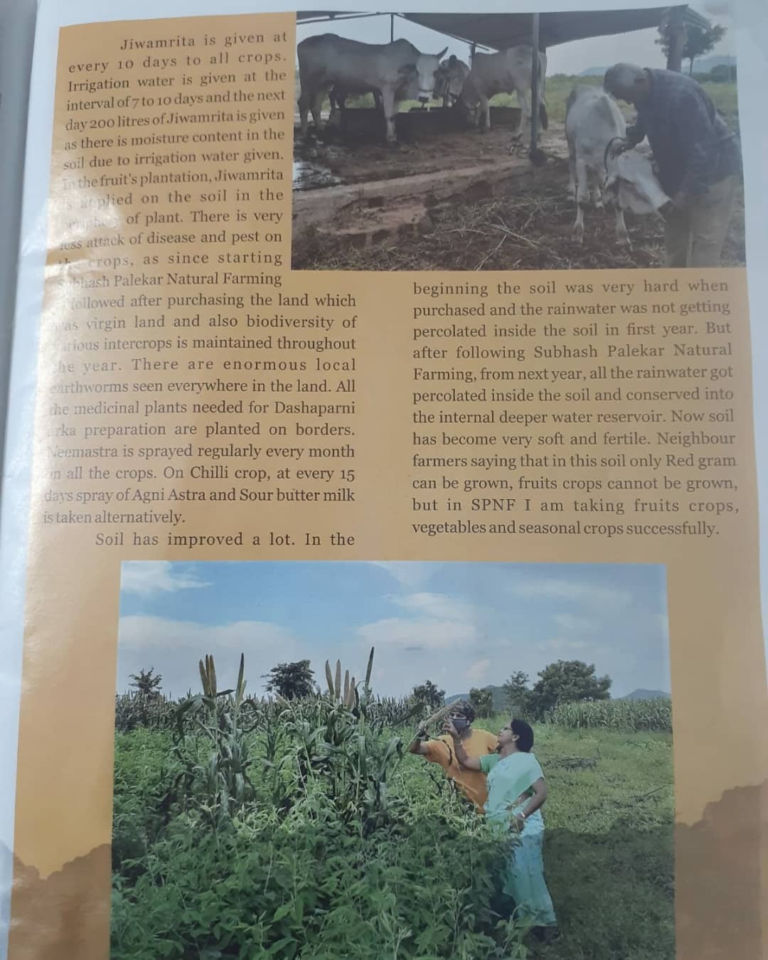 Farmer using Farmonaut app in the field