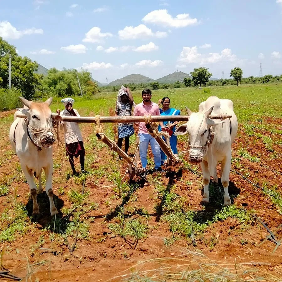 Soil testing in a field