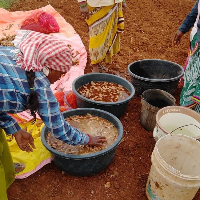 Sustainable Farming Future