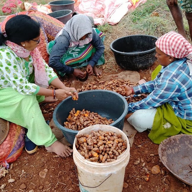 Organic Farming Success