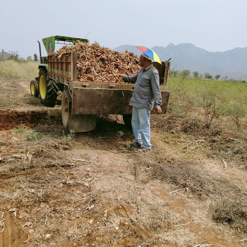 Organic Farming Celebration