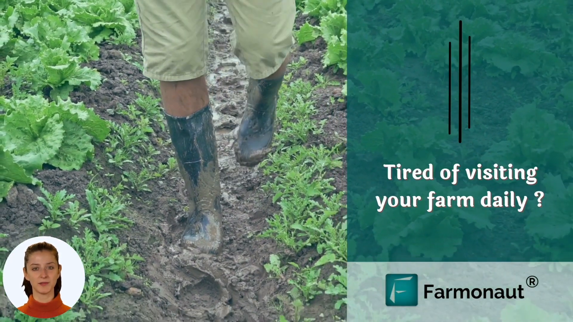 Farmer looking at crops in field