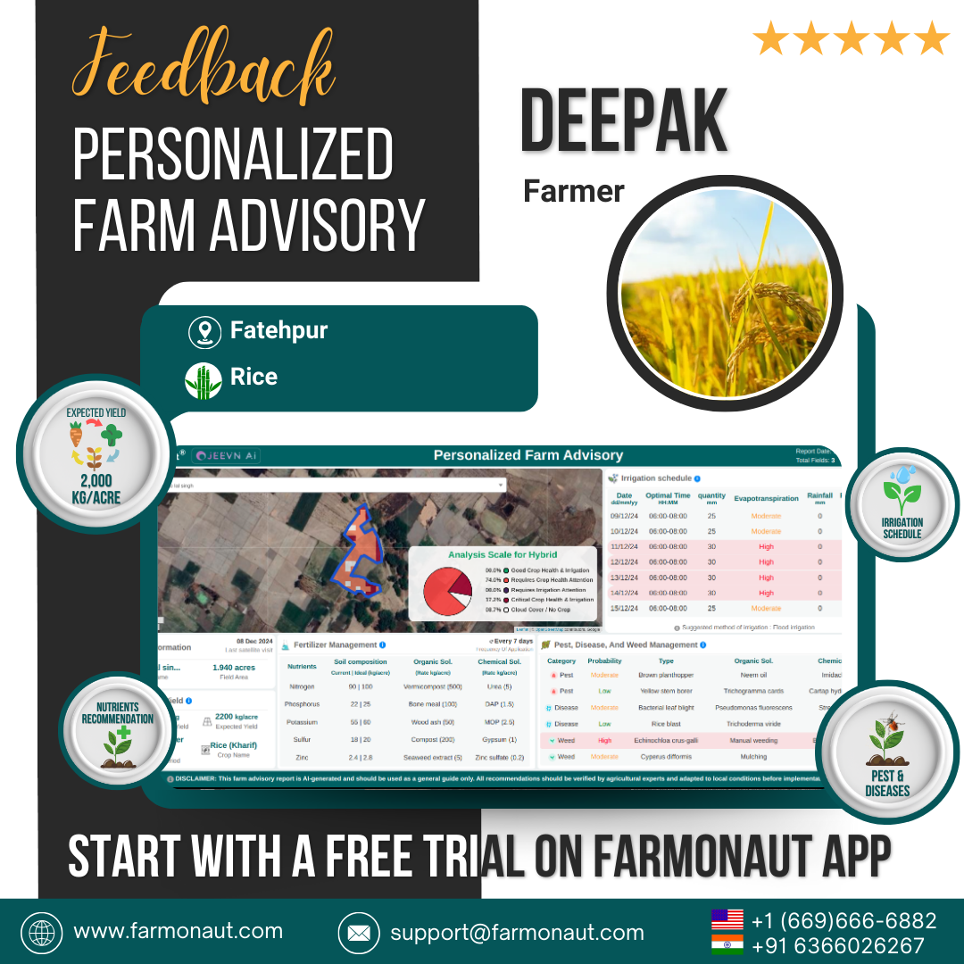 JEEVN AI Feedback 6 1