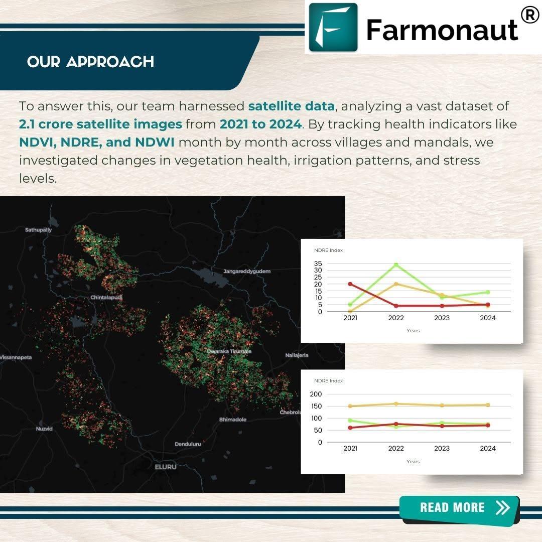 Future of Oil Palm Farming