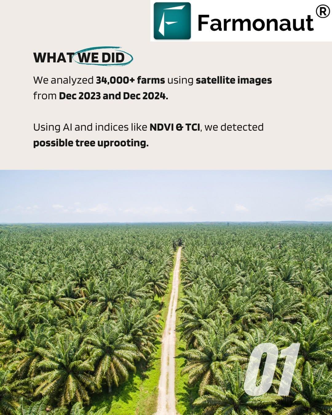 Farmonaut Satellite Monitoring Protects 34,000+ Plantations