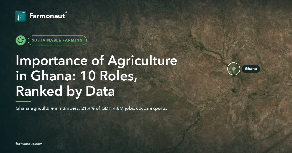 Importance Of Agriculture In Ghana: 10 Roles, Ranked By Data