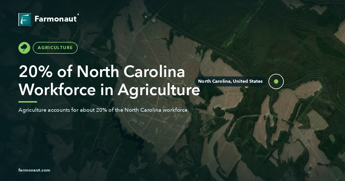 20% Of North Carolina Workforce In Agriculture