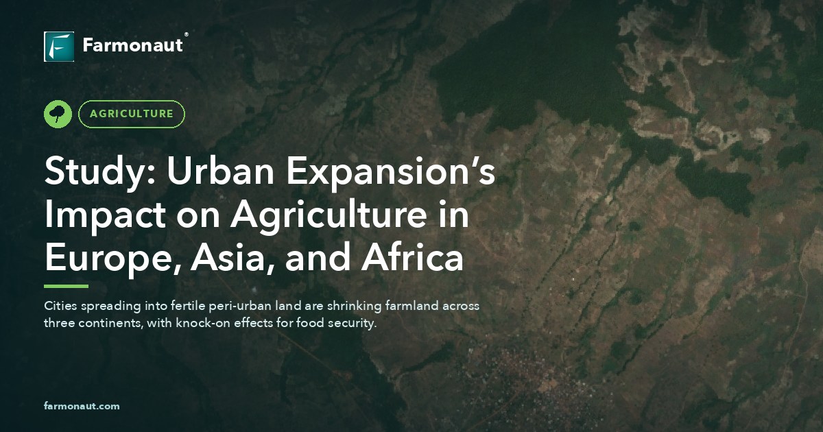Study: Urban Expansion’s Impact On Agriculture In Europe, Asia, And Africa