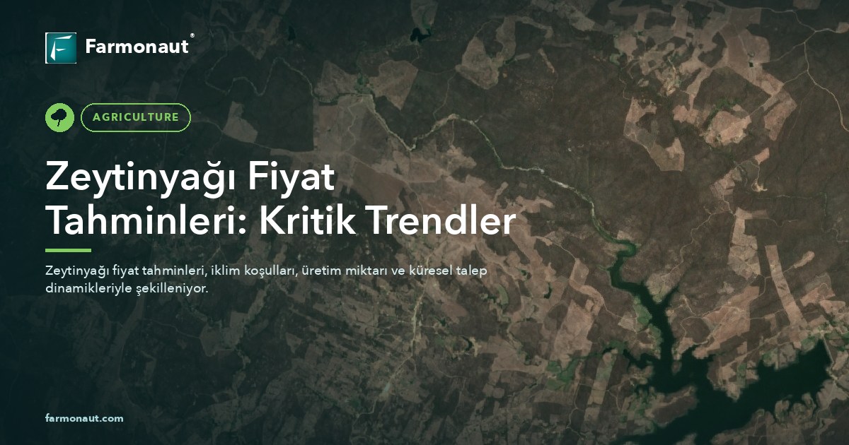 Zeytinyağı Fiyat Tahminleri: Kritik Trendler