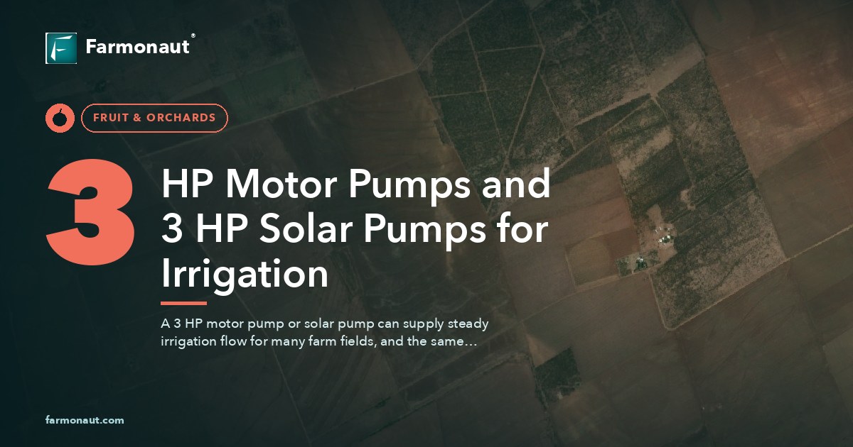 3 Hp Motor Pump, 3Hp Solar Pump, Pump Oil Tree Guide 91 3 Hp Motor Pumps And 3 Hp Solar Pumps For Irrigation