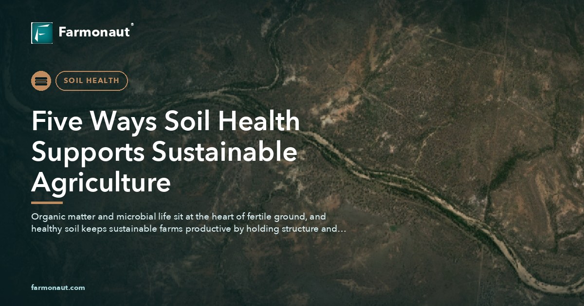 Five Ways Soil Health Supports Sustainable Agriculture