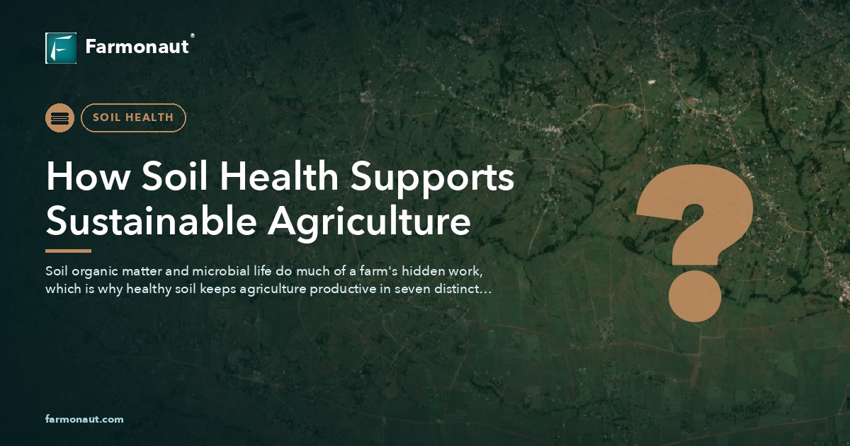 How Soil Health Supports Sustainable Agriculture