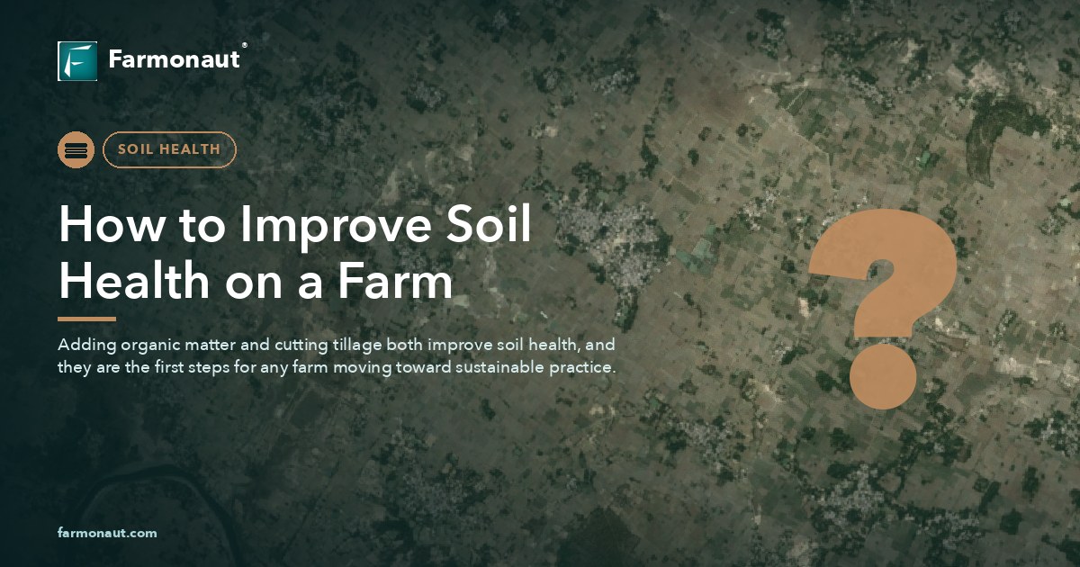 How To Improve Soil Health On A Farm