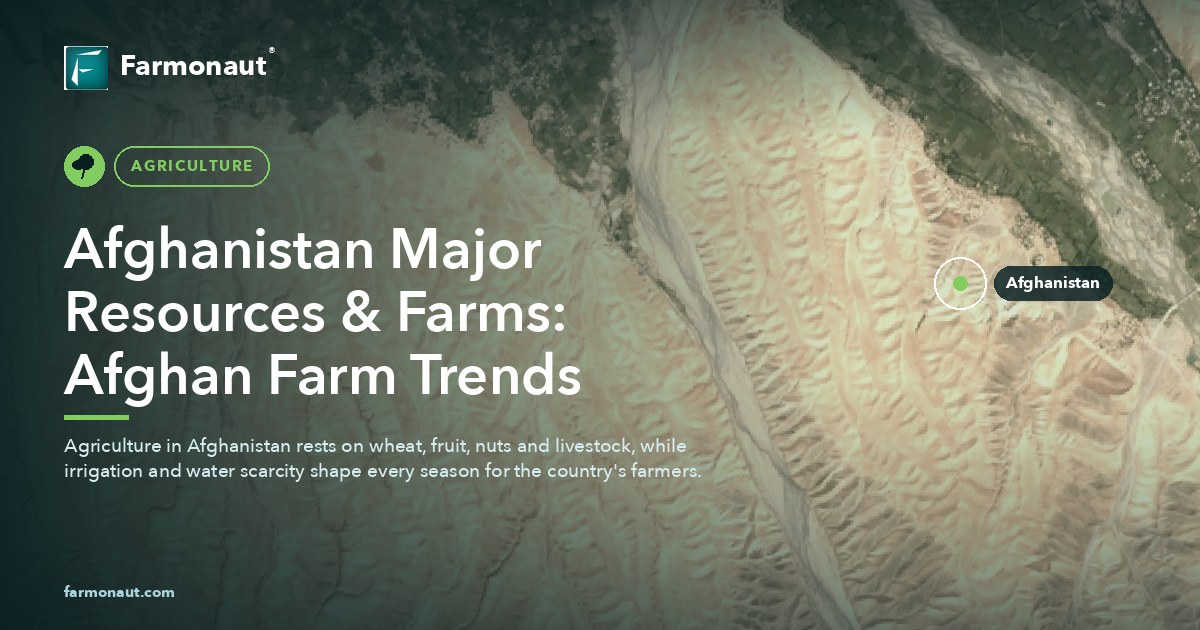 Afghanistan Major Resources &Amp; Farms: Afghan Farm Trends