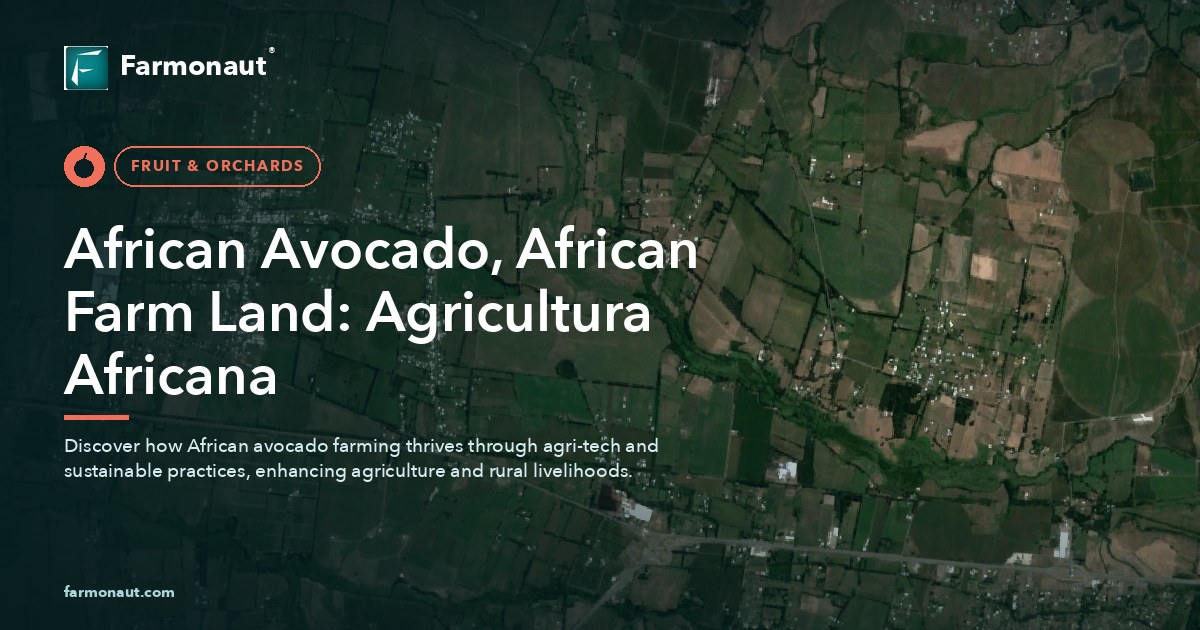 African Avocado, African Farm Land: Agricultura Africana