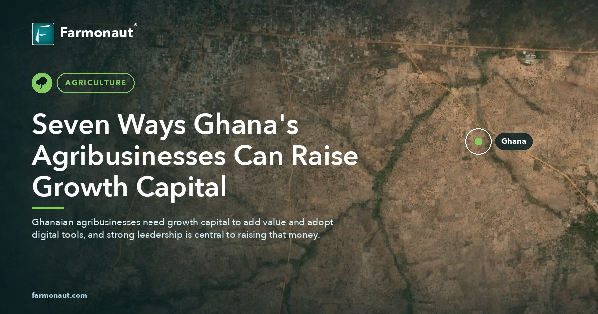 Seven Ways Ghana'S Agribusinesses Can Raise Growth Capital