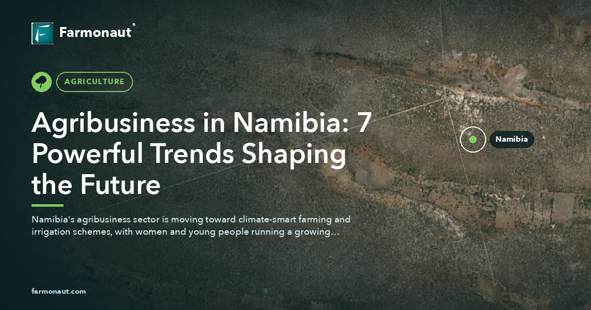 Agribusiness In Namibia: 7 Powerful Trends Shaping The Future