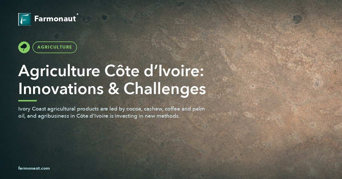 Agriculture Côte D’ivoire: Innovations &Amp; Challenges
