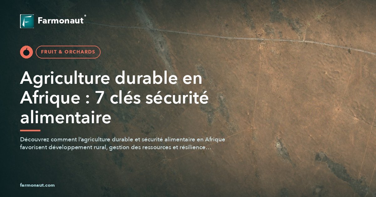 Agriculture Durable En Afrique : 7 Clés Sécurité Alimentaire