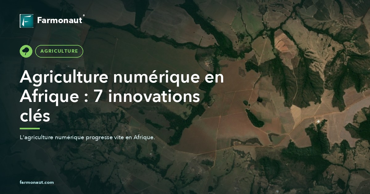 Agriculture Numérique En Afrique : 7 Innovations Clés