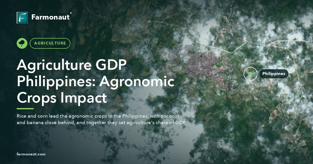 Agriculture Gdp Philippines: Agronomic Crops Impact