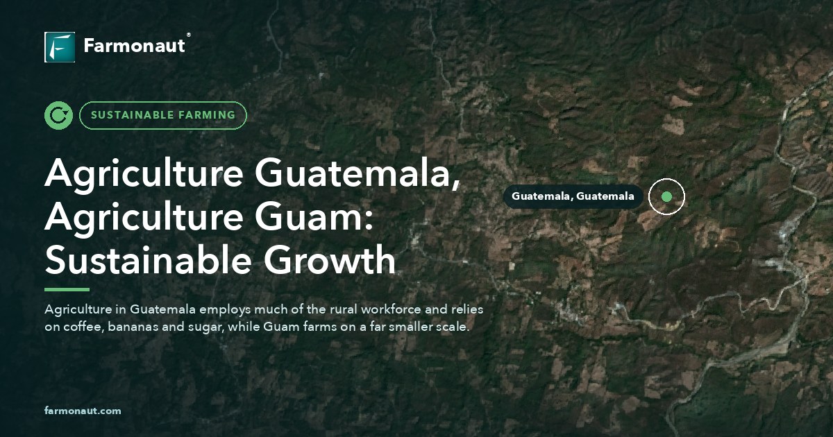 Agriculture Guatemala, Agriculture Guam: Sustainable Growth