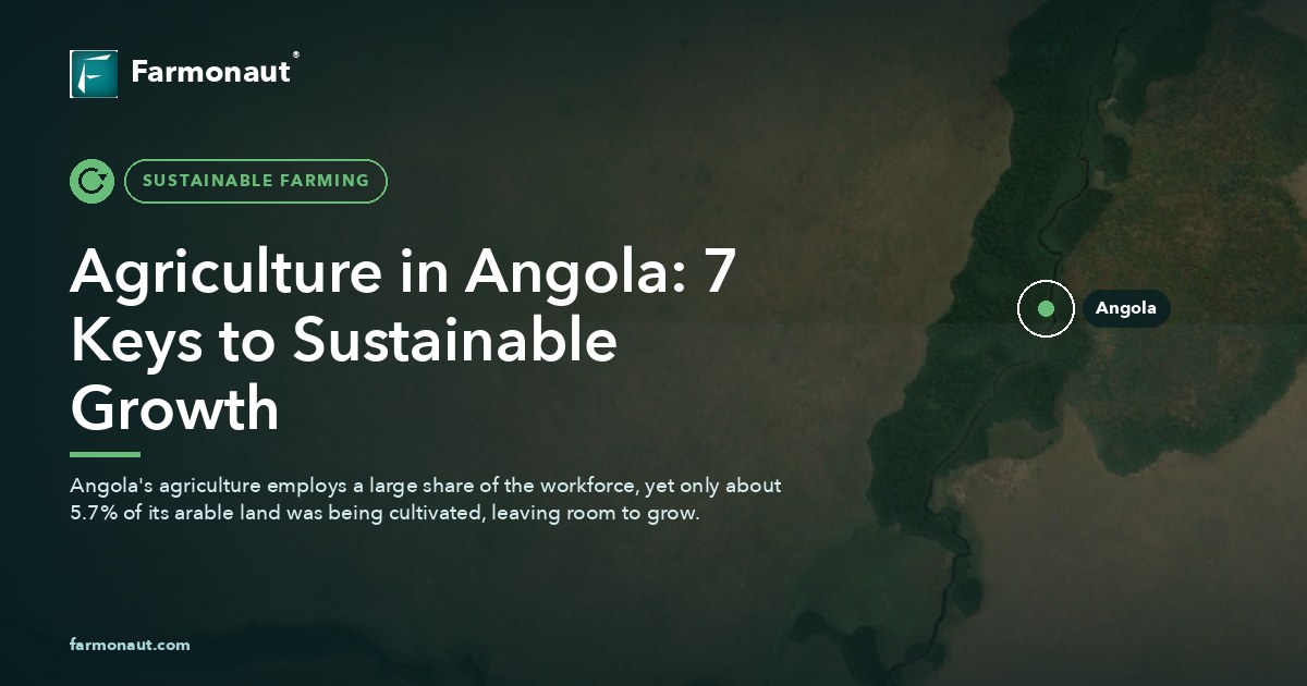 Agriculture In Angola: 7 Keys To Sustainable Growth