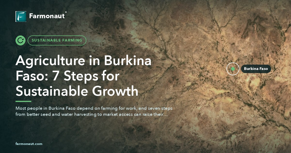 Agriculture In Burkina Faso: 7 Steps For Sustainable Growth