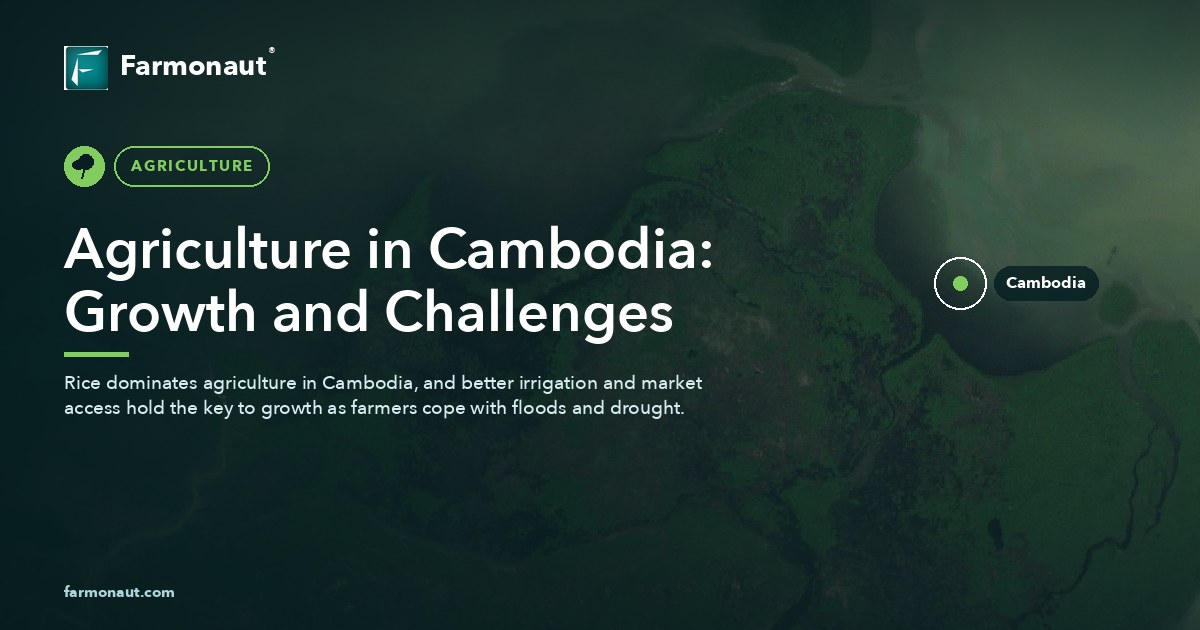 Agriculture In Cambodia: Growth And Challenges