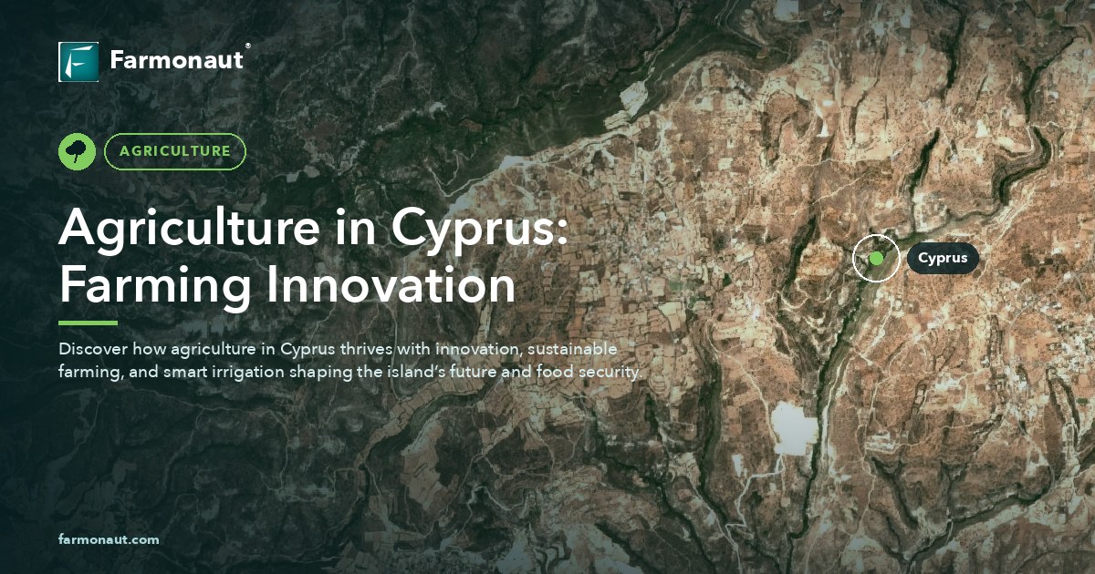 Agriculture In Cyprus: Farming Innovation