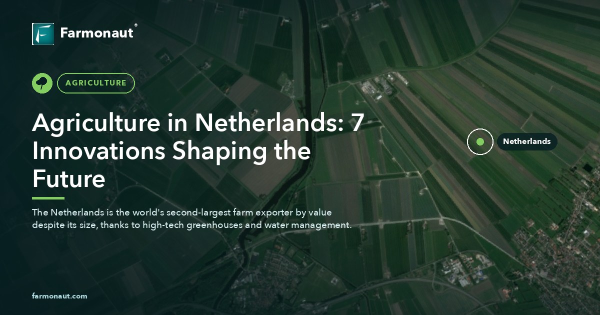 Agriculture In Netherlands: 7 Innovations Shaping The Future